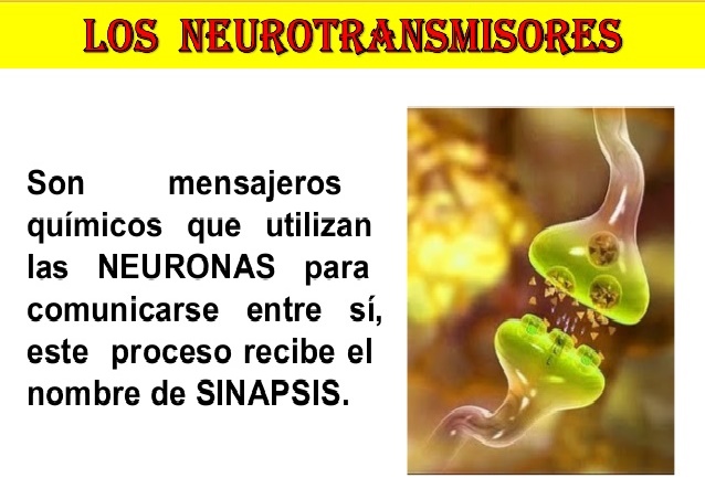los-neurotransmisores-2-638
